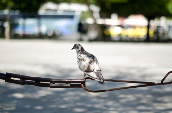 Face au chantage: à propos du 7 mai 2017