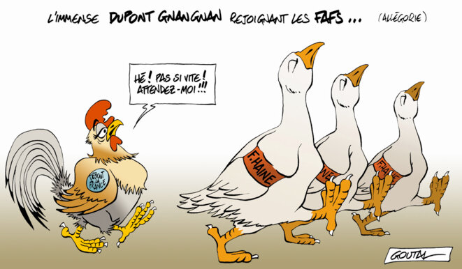 Coq au vain
