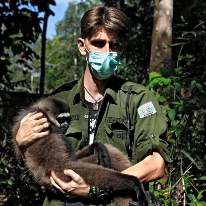 Chanee, la déforestation et l'huile de palme : l'éternel battement d'aile du papillon