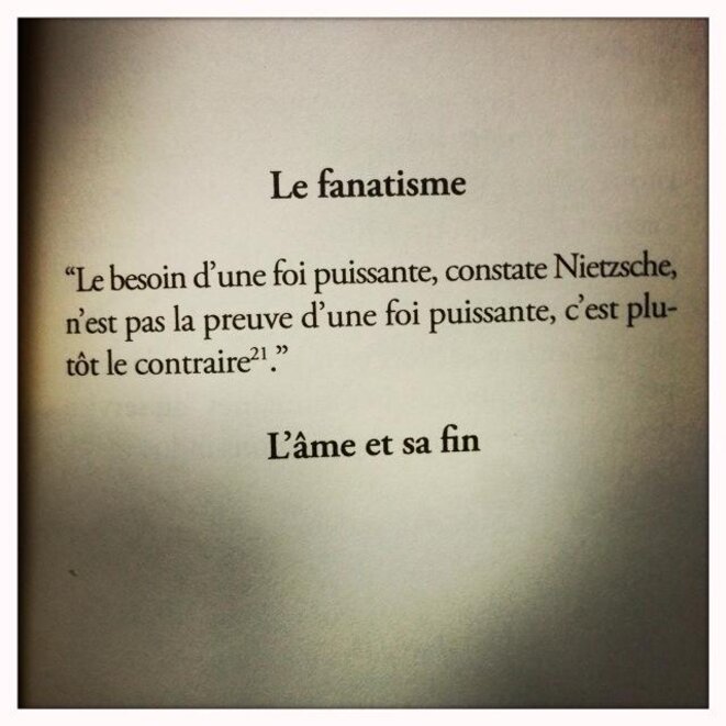 'Anagrammes pour lire dans les pensées' : de la vie cachée des mots