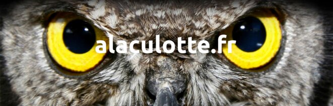 Contre l'extrême droite et les débats stériles : une porte de sortie par le haut.