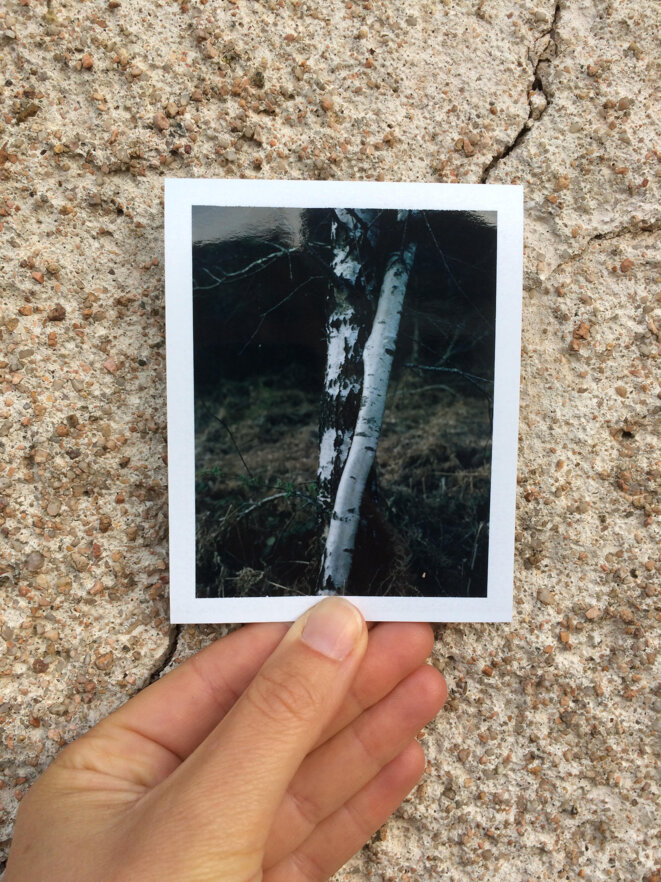 © Marion Poussier © Marion Poussier