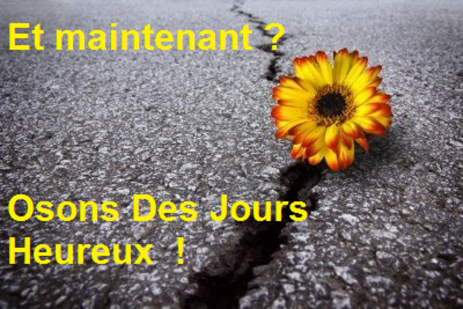 5990734-magnifique-fleur-poussant-sur-la-fissure-dans-la-vieille-asphalte