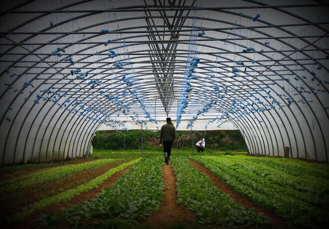 «Il faut valoriser nos actions dans un discours politique»