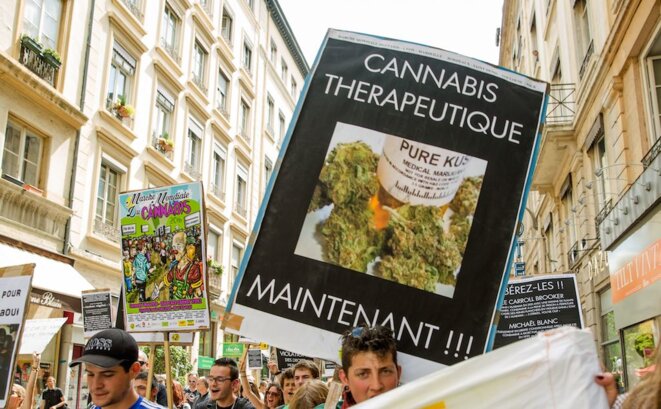 Marche Mondiale du Cannabis 2016 à Lyon Marche Mondiale du Cannabis 2016 à Lyon