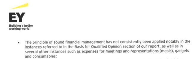 Extrait du rapport d'Ernst&Young. © Document Mediapart Extrait du rapport d'Ernst&Young. © Document Mediapart