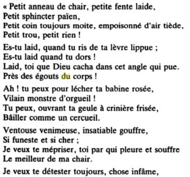description-du-vagin