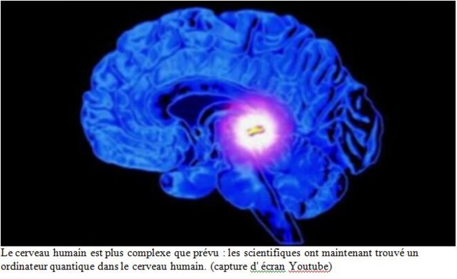 Humour La Confirmation D Une Lapalissade Notre Cerveau Est Quantique Le Club De Mediapart Humour La Confirmation D Une Lapalissade Notre Cerveau Est Quantique Le Club De Mediapart