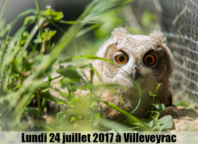 © AlterTour © AlterTour