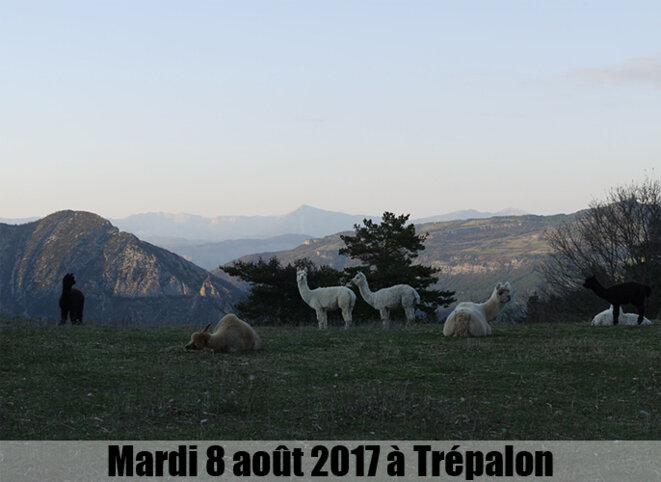 © AlterTour © AlterTour