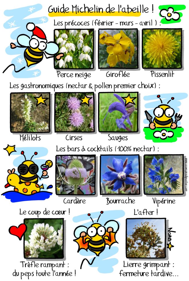 Guide Michelin de l'abeille! © Norb Guide Michelin de l'abeille! © Norb