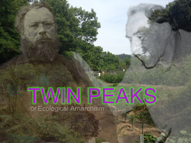twin-peaks-ecological-anarchism-alban-mannis-juin-2017