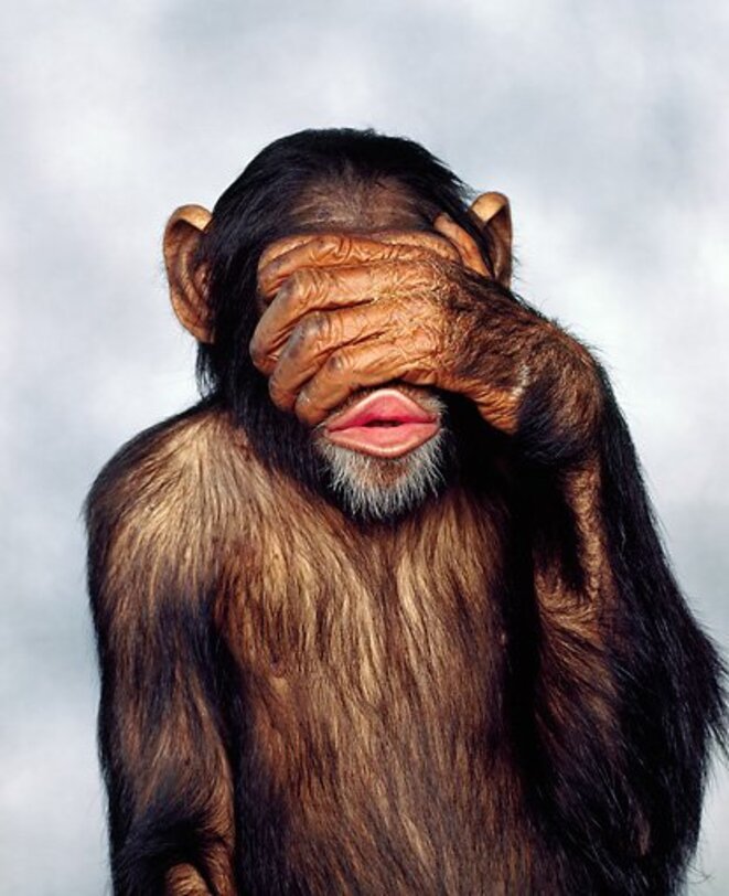 Картина обезьяна держится за голову