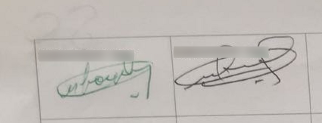 Le Conseil constitutionnel a pu noter quelques « différences significatives » dans certaines signatures d'un tour à l'autre Le Conseil constitutionnel a pu noter quelques « différences significatives » dans certaines signatures d'un tour à l'autre