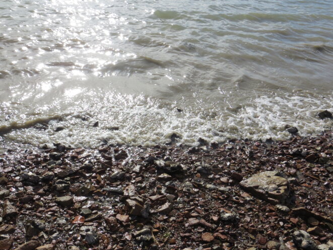 img-4499
