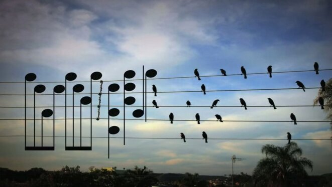 capture-d-e-cran-2017-07-03-a-11-56-13