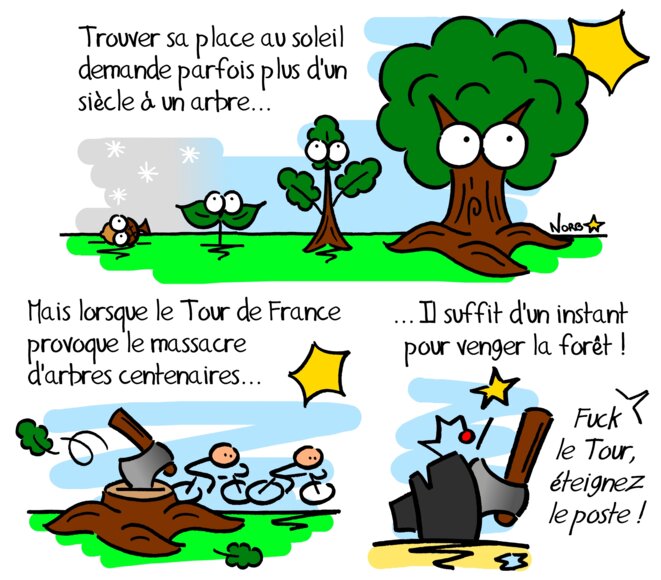 Quand le Tour de France massacre des arbres centenaires © Norb Quand le Tour de France massacre des arbres centenaires © Norb