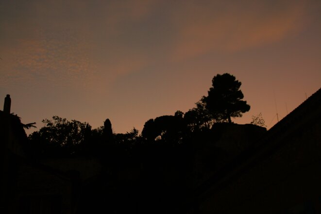 © Esther Michon © Esther Michon