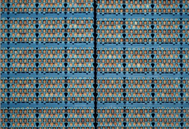 Palette d'œufs © Reuters Palette d'œufs © Reuters