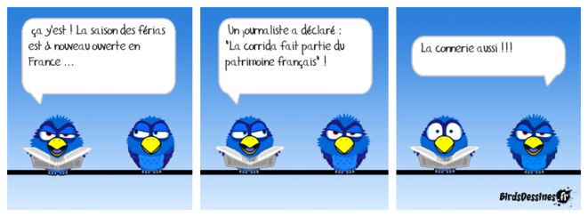 birds-dessines-corrida