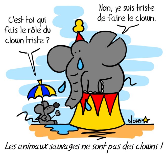 Les animaux sauvages ne sont pas des clowns