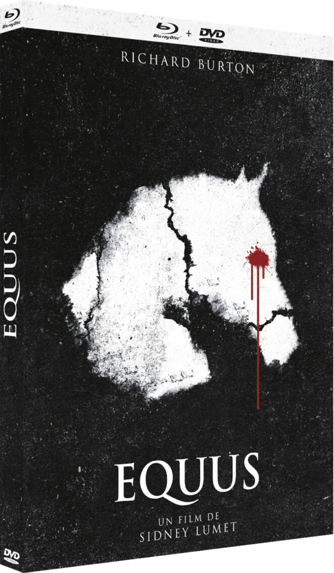 equus-visuel-3d-714x1225