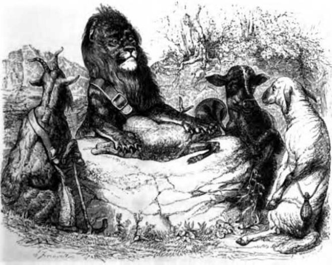 La Genisse La Chevre Et La Brebis