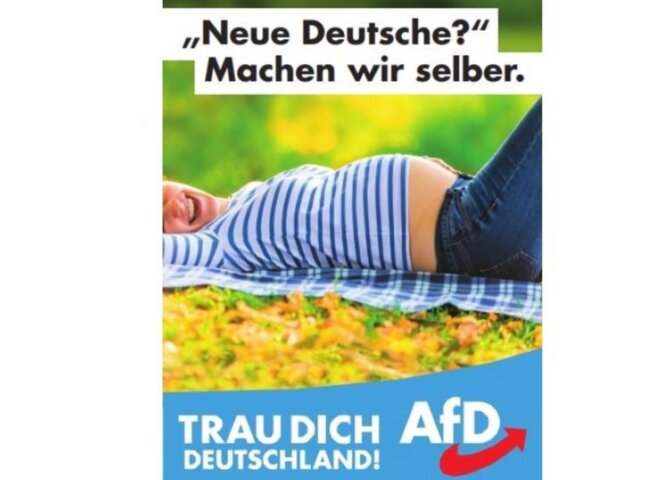 affiche-electorale-de-l-afd-5937052