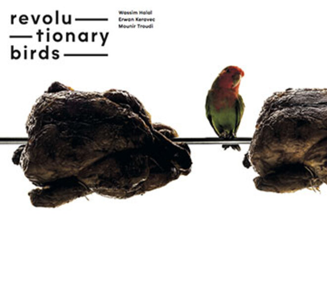 revolutionary-birds