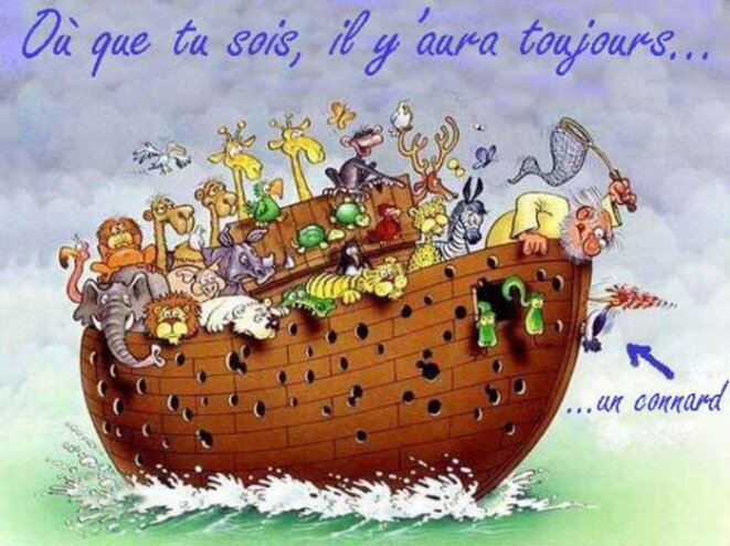 arche-de-noe-4