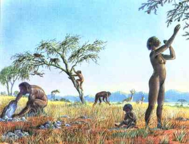 alimentation-prehistorique-2