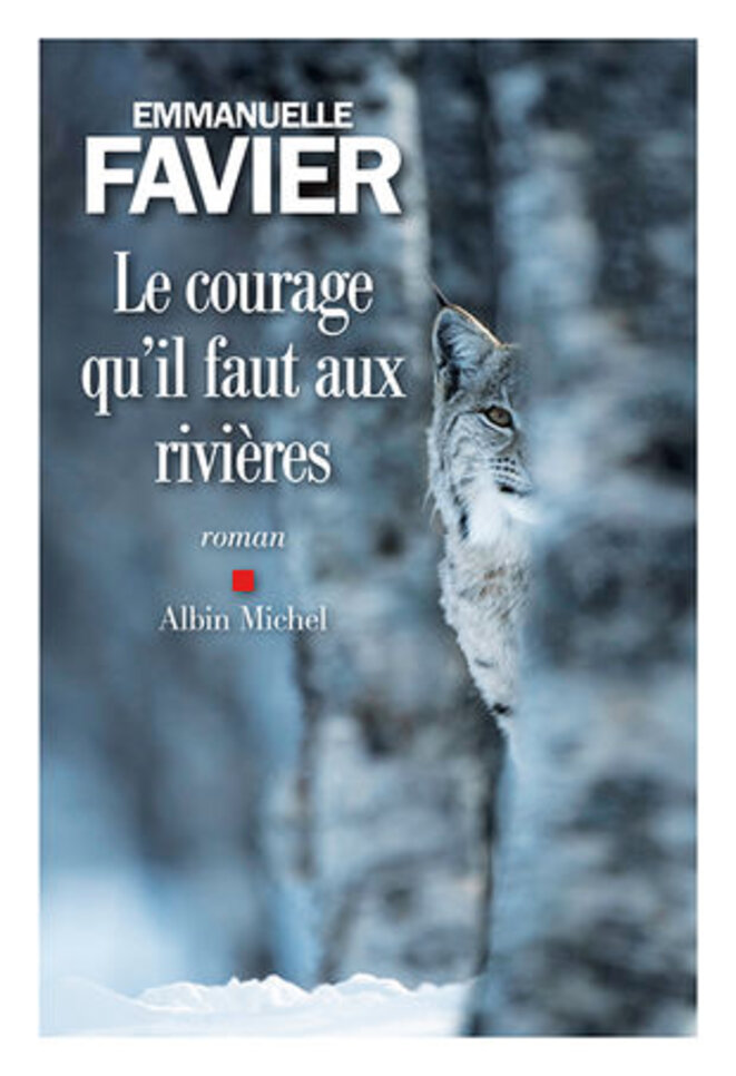 e-favier-a-michel