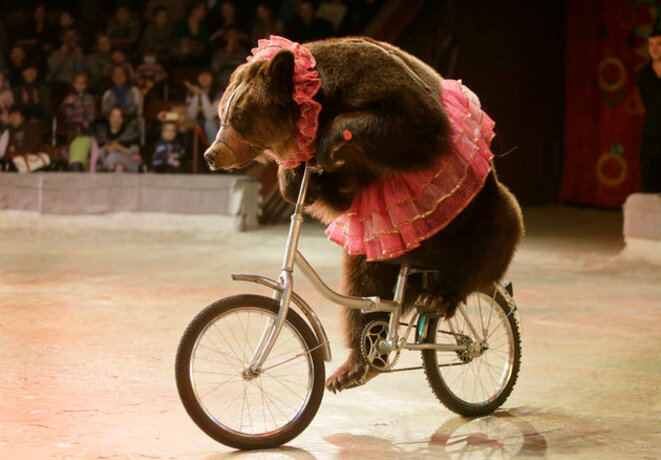 cirqueours