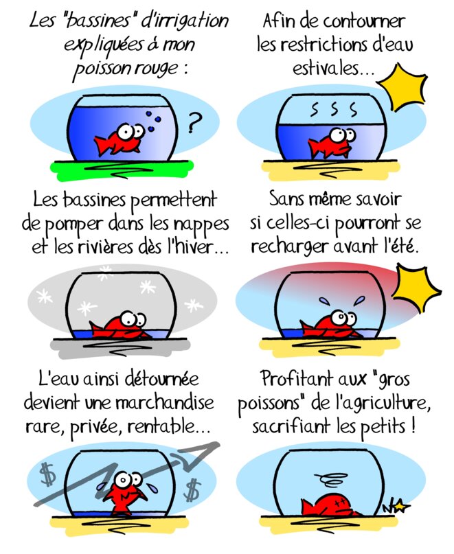 Réserves de substitution pour l'irrigation agricole (2)