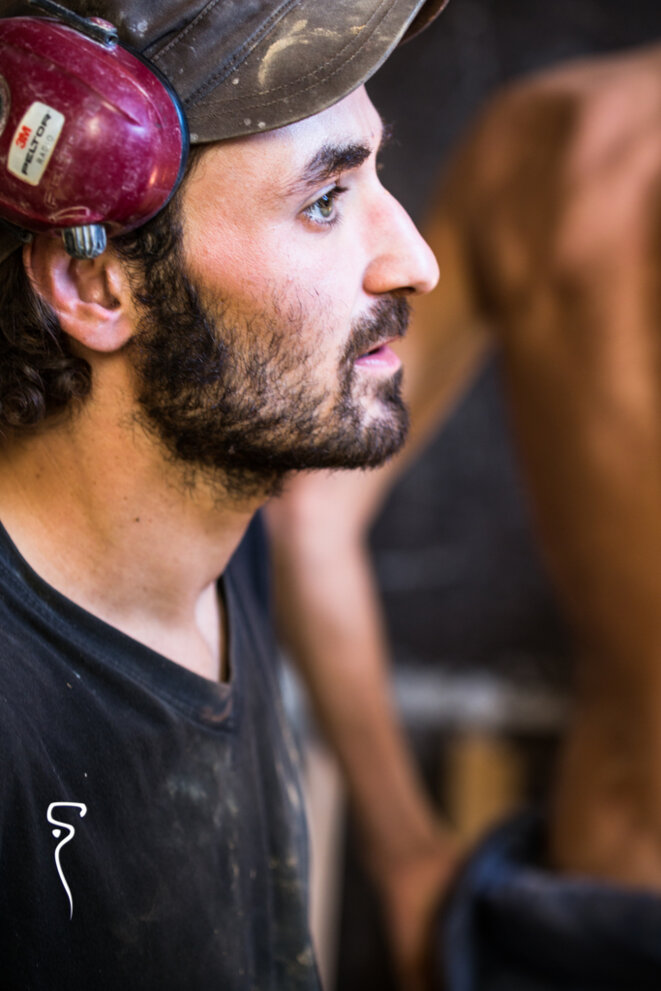 Tera © Mehdi LETAIEF Tera © Mehdi LETAIEF