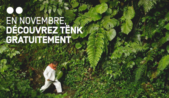 Célébrez le mois du doc avec Tënk !