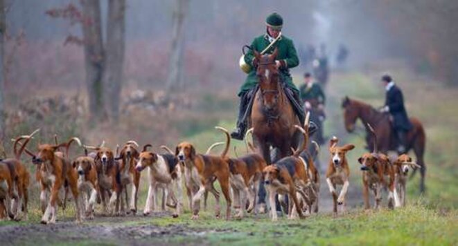 Abattage d'un cerf lors d'une chasse à courre © Le Monde Abattage d'un cerf lors d'une chasse à courre © Le Monde