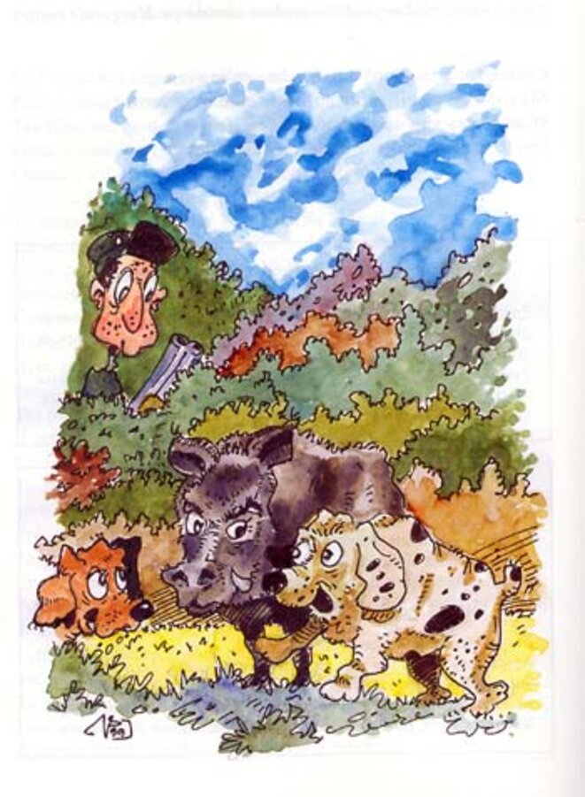 civet-sanglier