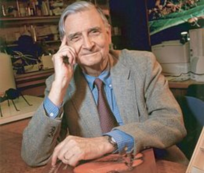 Edward O. Wilson Edward O. Wilson