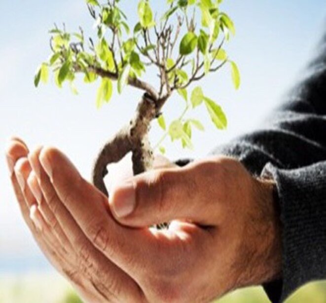 Le puissant impôt social : la z-taxe