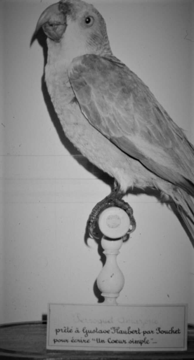 Flaubert et le perroquet de Félicité. Une critique laïque de la laï