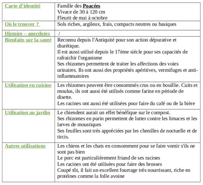 tableau-chiendent