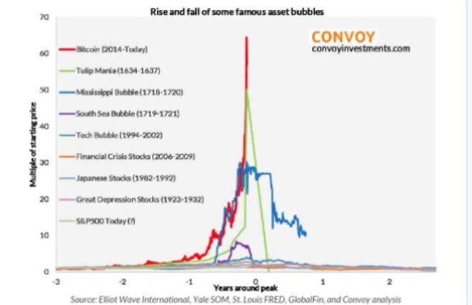 Quelques exemples de bulles spéculatives historiques. En rouge, le bitcoin. © DR Quelques exemples de bulles spéculatives historiques. En rouge, le bitcoin. © DR