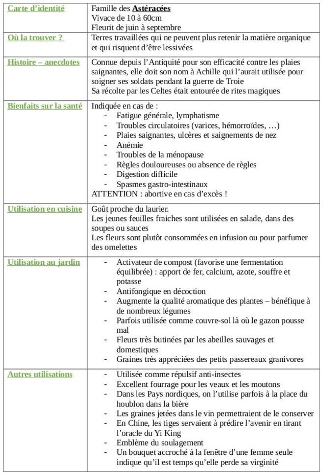 tableau-achillee-millefeuille