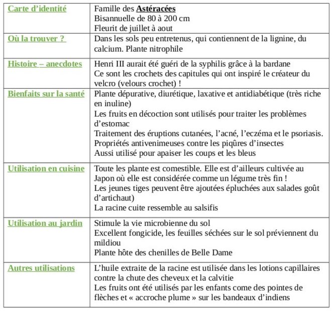 tableau-bardane