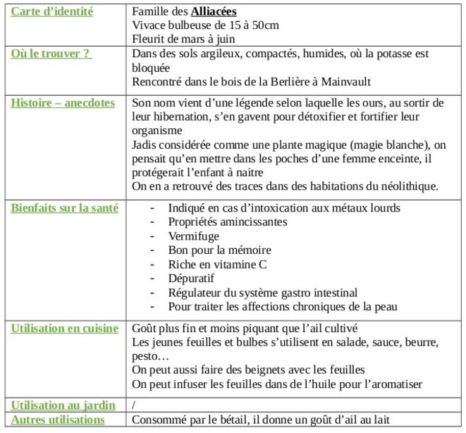 tableau-ail-des-ours