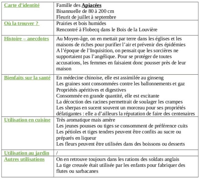 tableau-angelique-sauvage