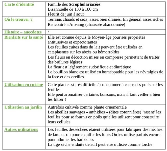 tableau-bouillon-blanc