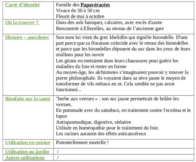 tableau-chelidoine