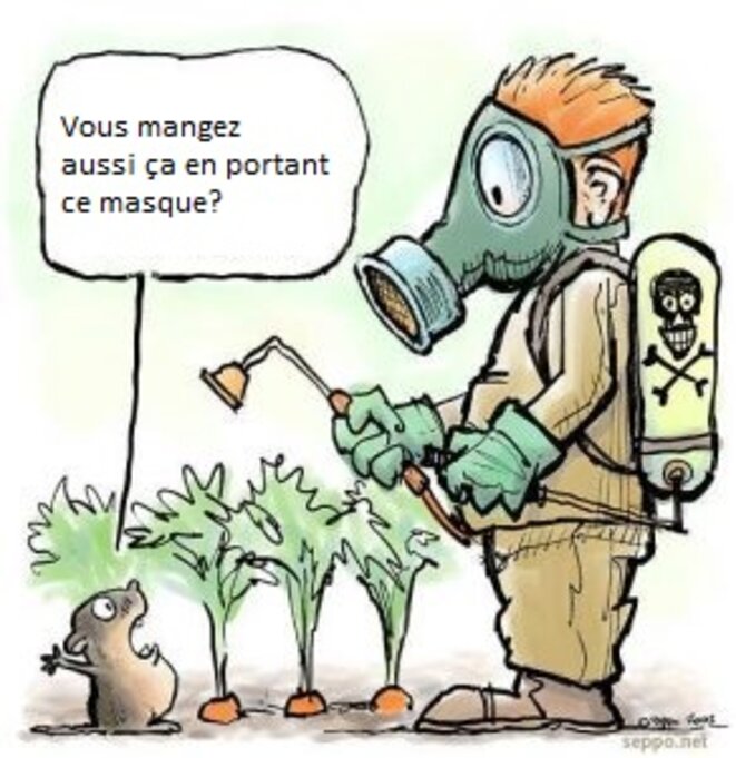 Traduction personnelle © X Traduction personnelle © X